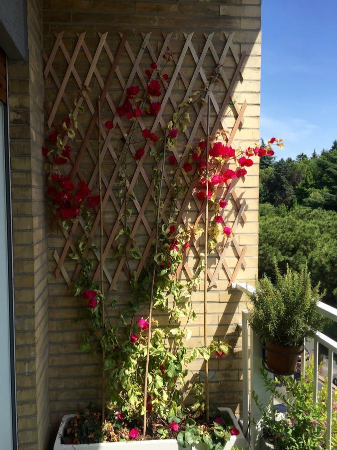 Happy Holiday In Rome B&B Roma Exterior foto