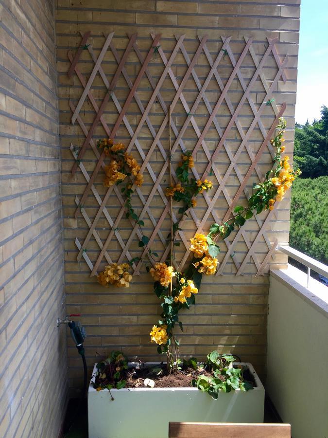 Happy Holiday In Rome B&B Roma Exterior foto